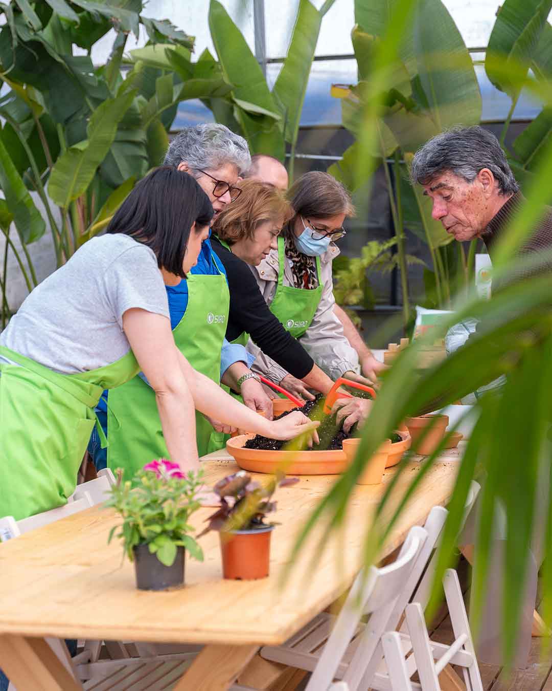 workshop_sementeiras_criaverde_plantas