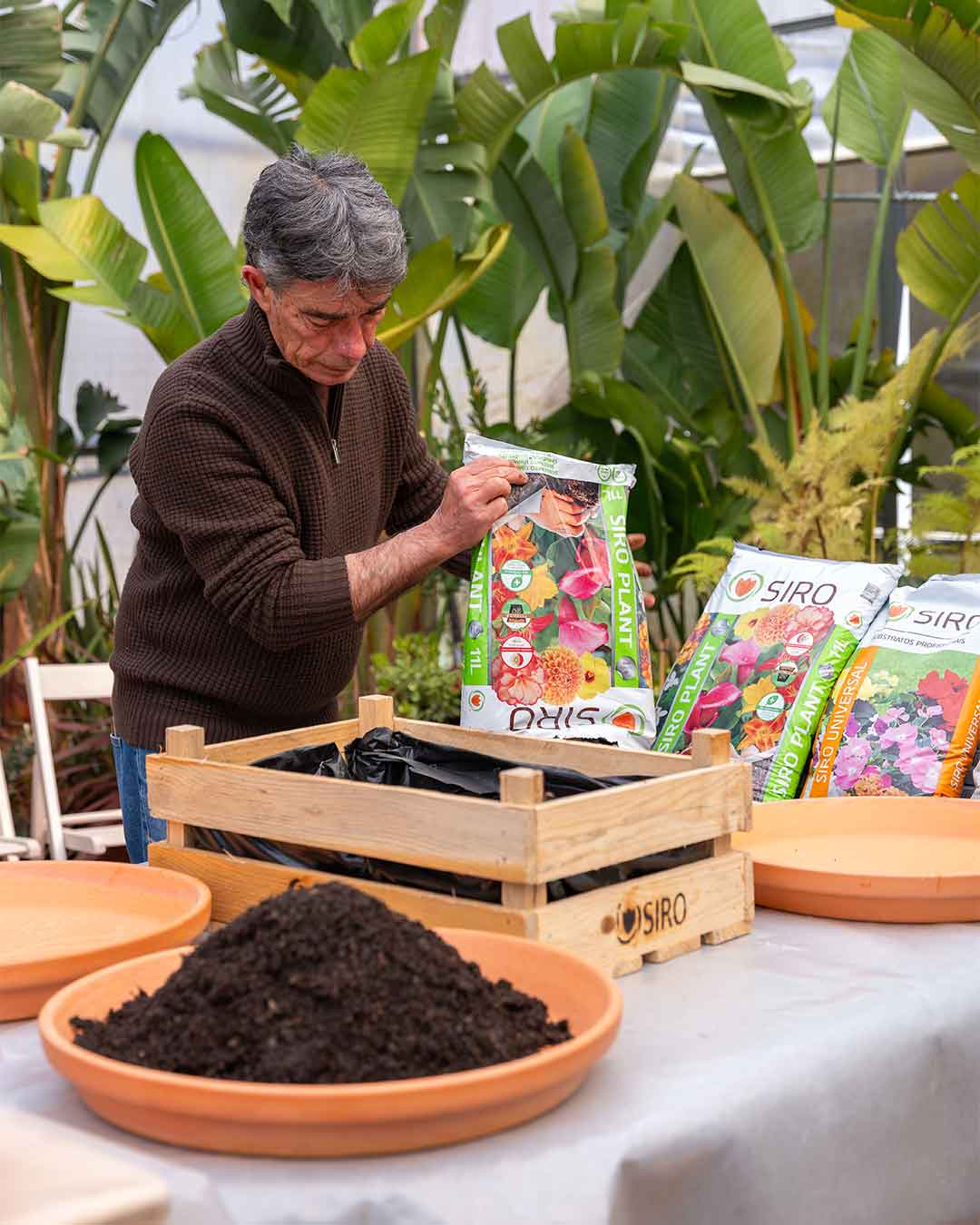 workshop_sementeiras_criaverde_plantas