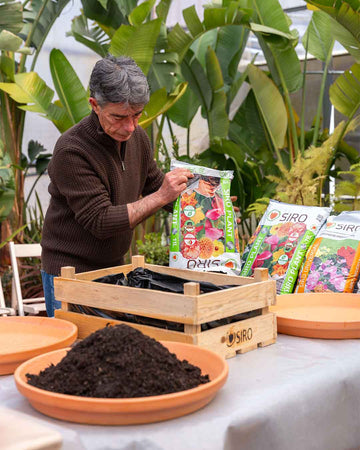 workshop_sementeiras_criaverde_plantas