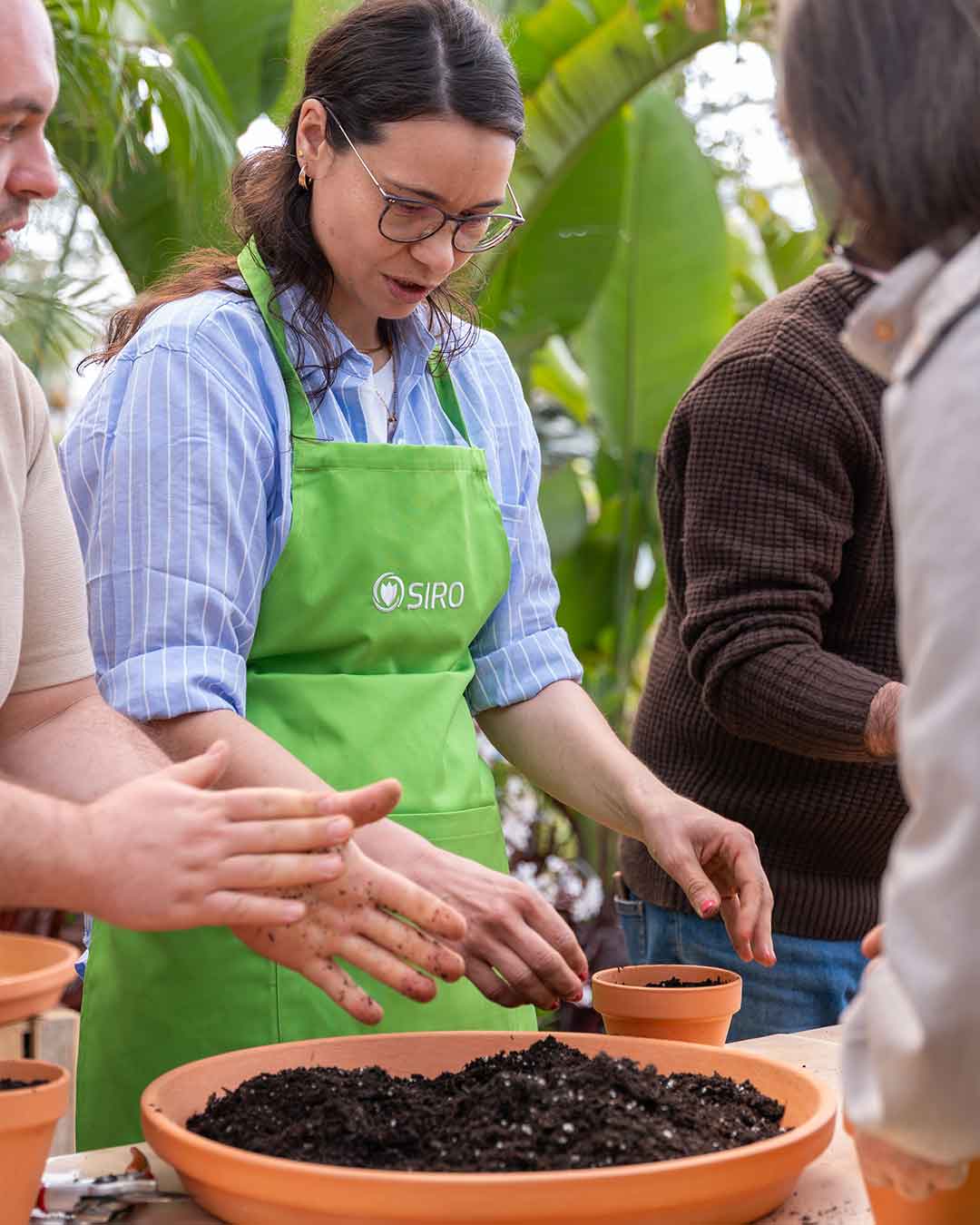 workshop_sementeiras_criaverde_plantas