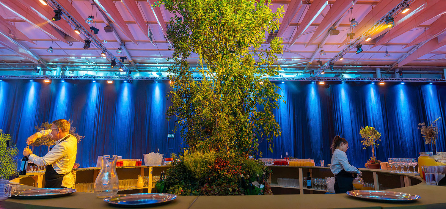 arvores-mesas-eventos-plantas-fil-criaverde-lisboa