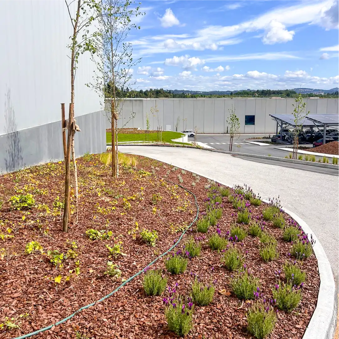 Construção de Jardins e Paisagismo — fotografia 3