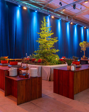 decoracao-arvores-eventos-plantas-fil-criaverde-lisboa
