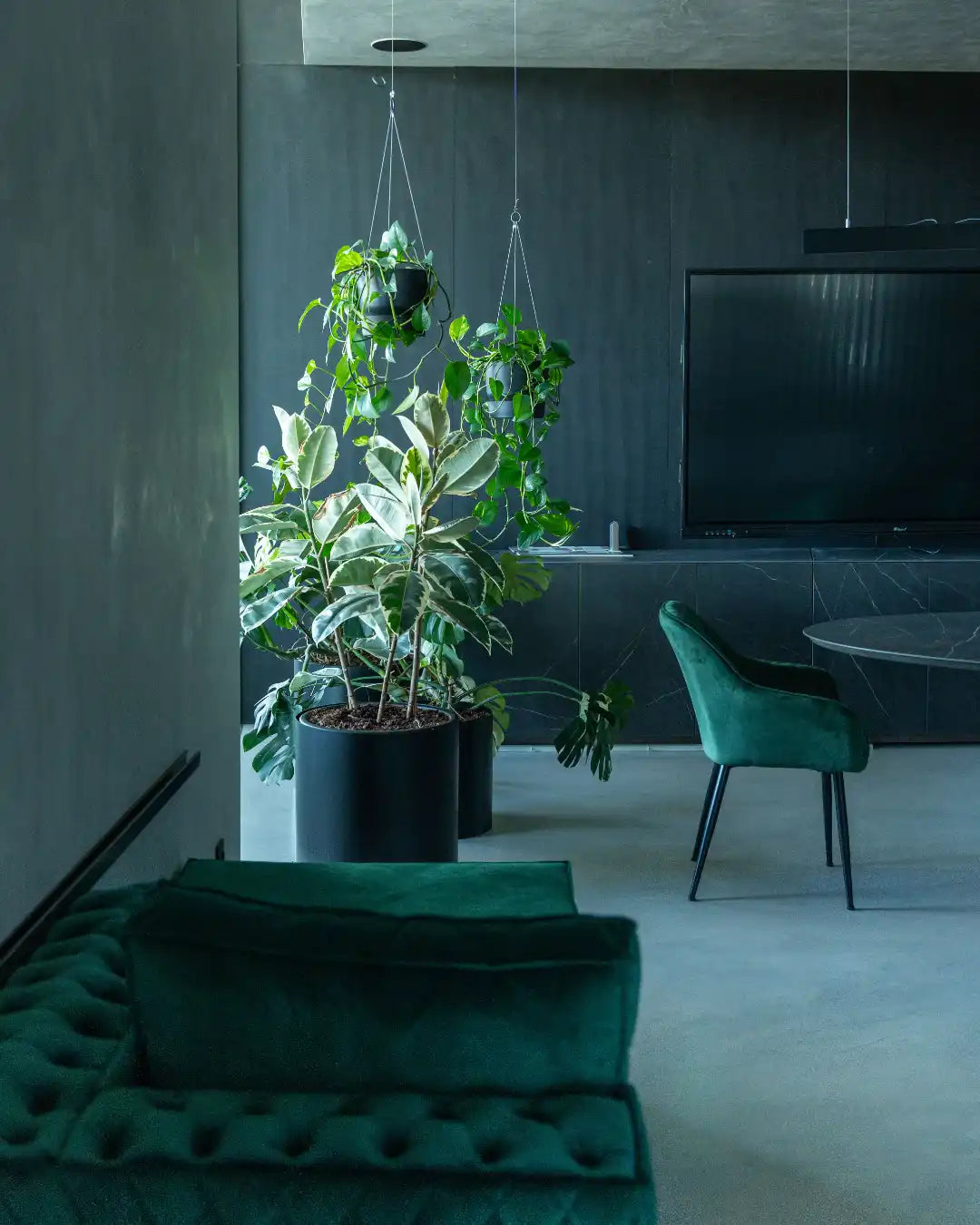 web-decoracao-interior-plantas-melhores-criaverde