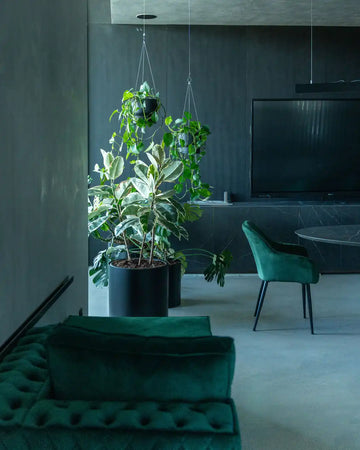 web-decoracao-interior-plantas-melhores-criaverde