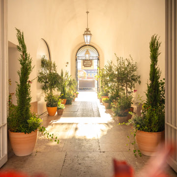 decoracao-plantas-arvores-lisboa-patio-gale-colaboracao_com_a_Voqin-criaverde