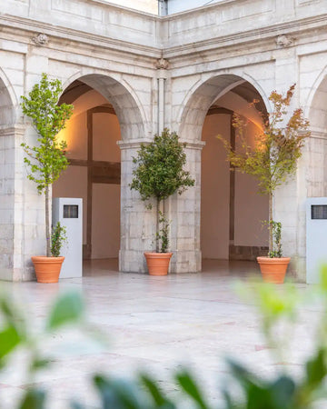 decoracao-plantas-patio-gale-voqin-criaverde