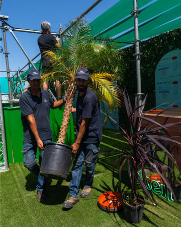 evento-nos-alive-decoracao-decocarao-plantas-criaverde