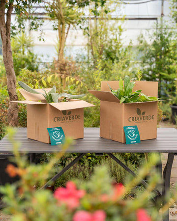 too-good-to-go-plantas-criaverde-01