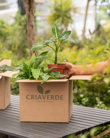 Too-good-to-go-plantas-criaverde-02