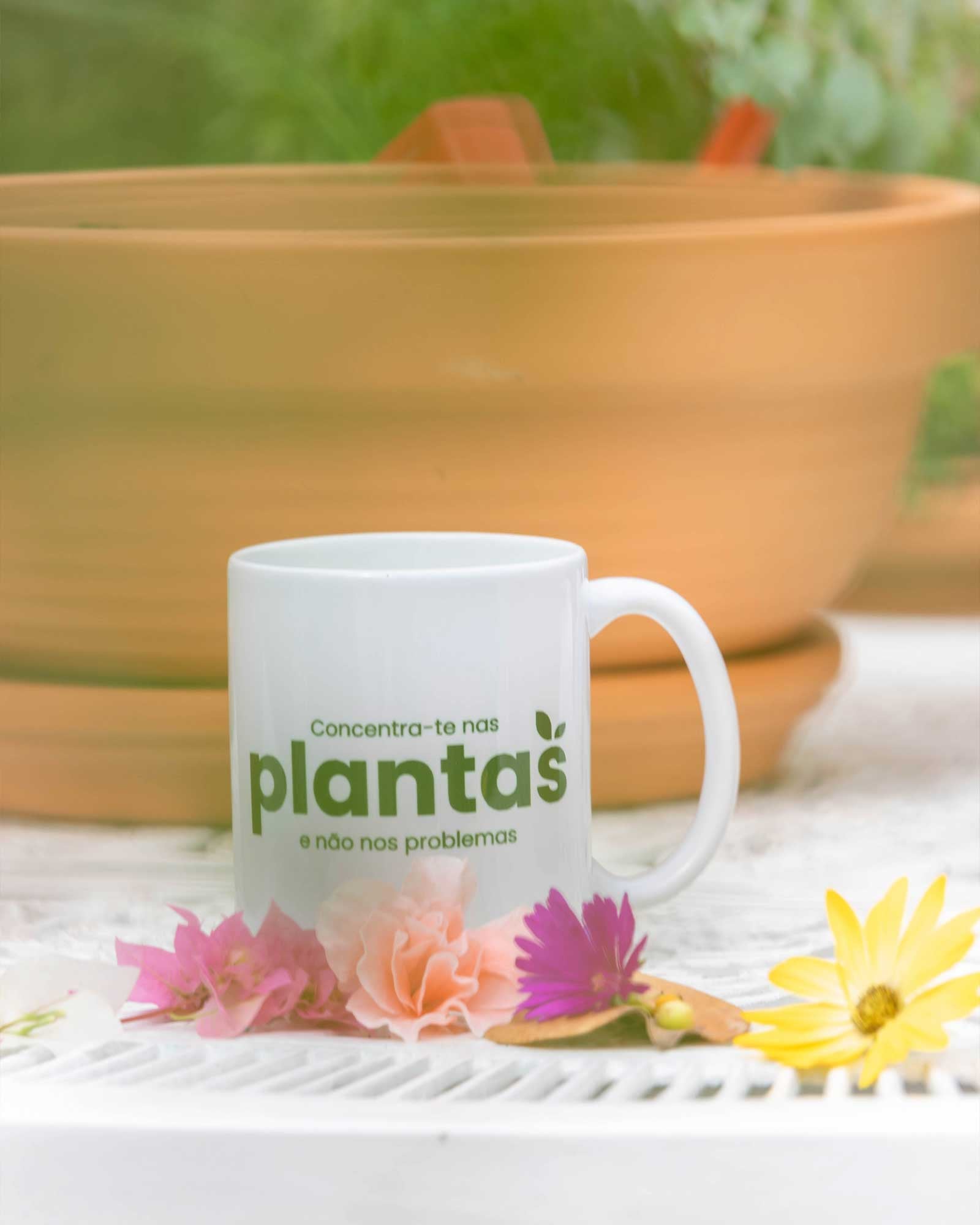 workshop-Farmacia-Verde-criaverde-plantas