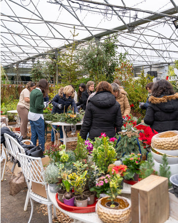 workshop-arranjos-natal-criaverde