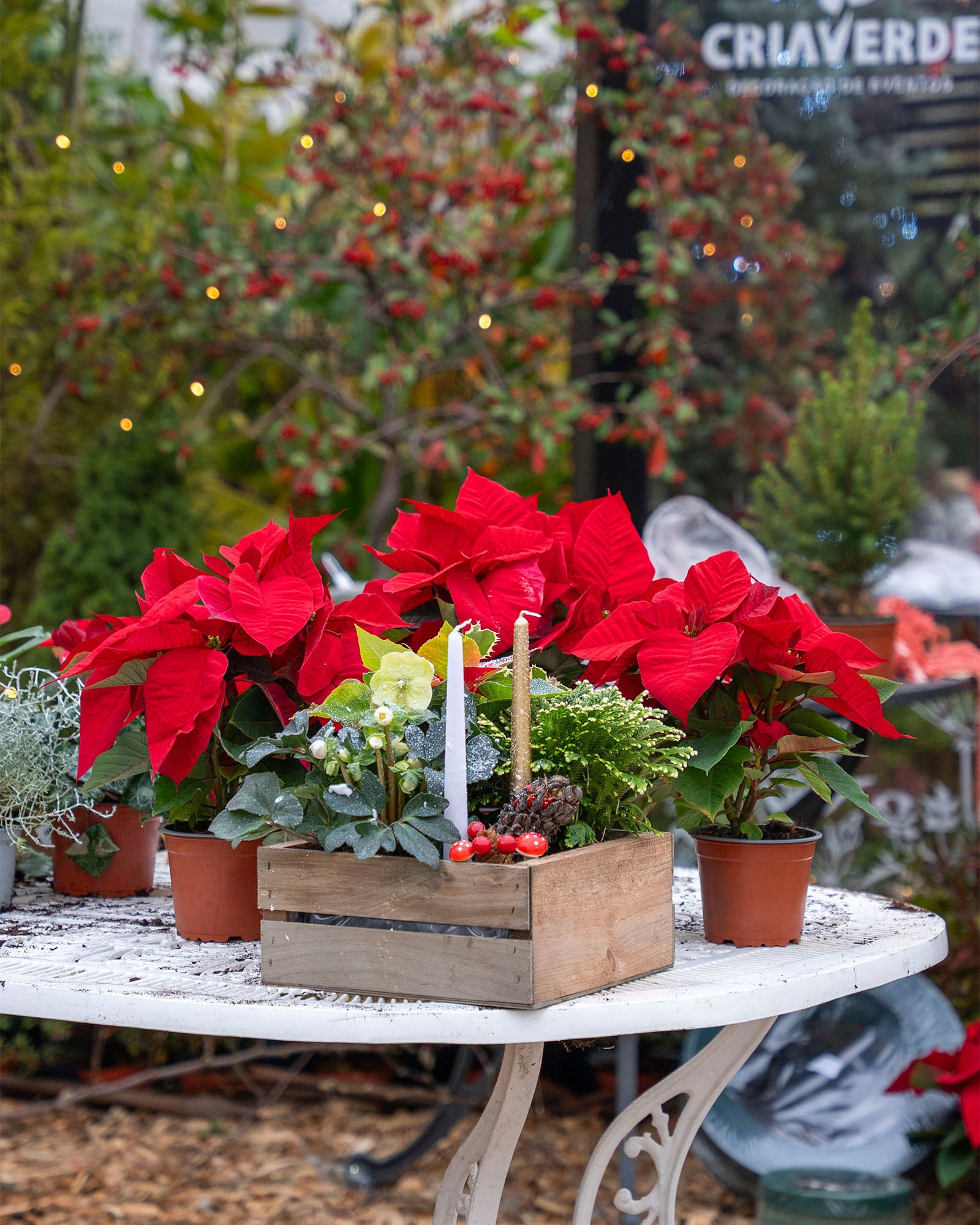 workshop-arranjos-natal-criaverde