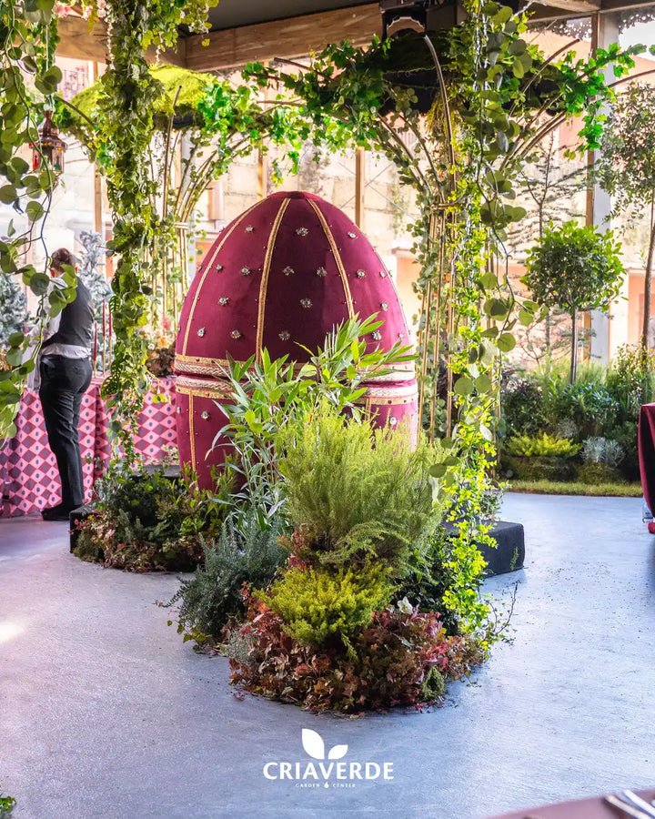 El Jardín de Prosperus