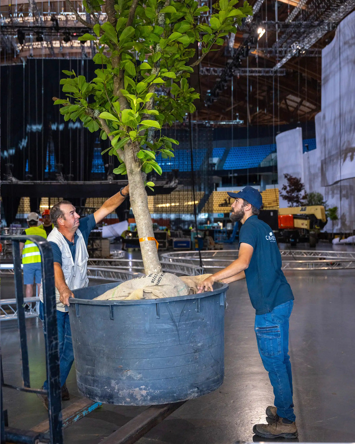 decoracao_edp50_Plantas_meoArena_desafioGlobal_criaverde
