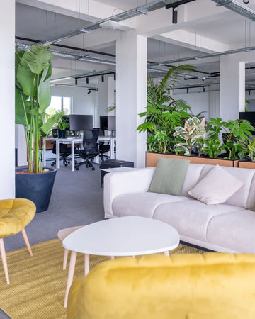 decoracao_escritorio_melhores_plantas_criaverde