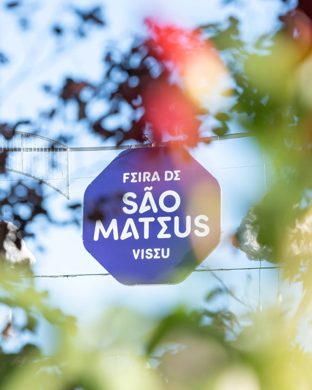 Festa de São Mateus 2024