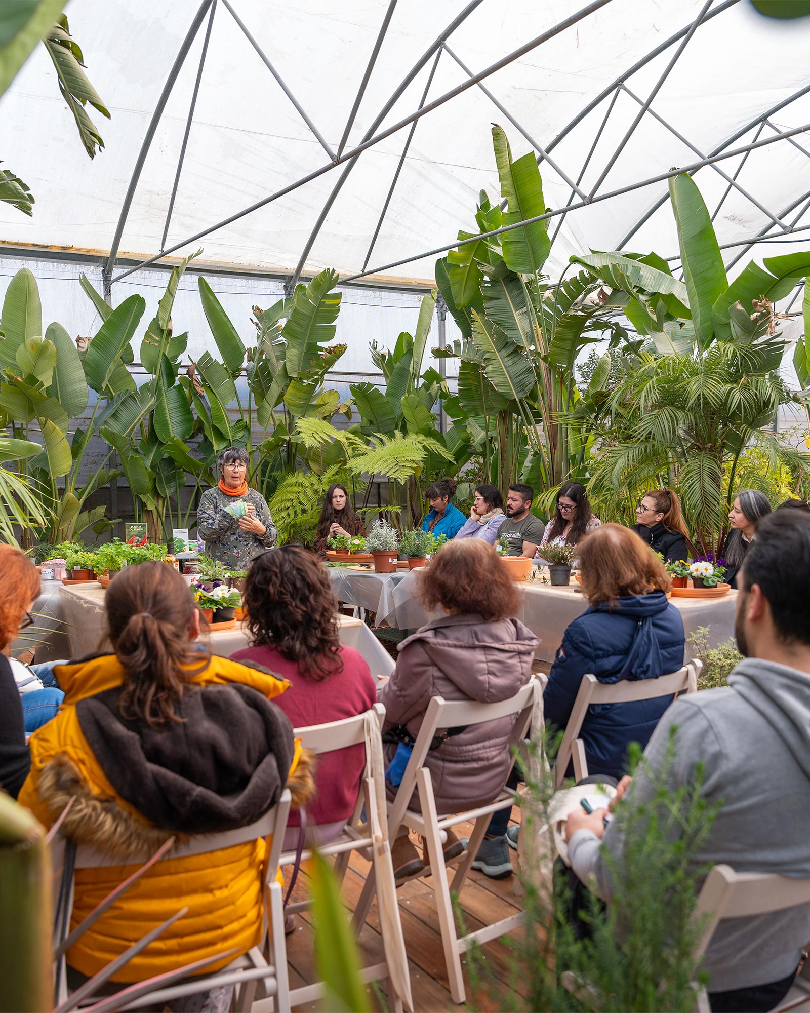 web_fernanda_botelho_workshop_criaverde_plantas