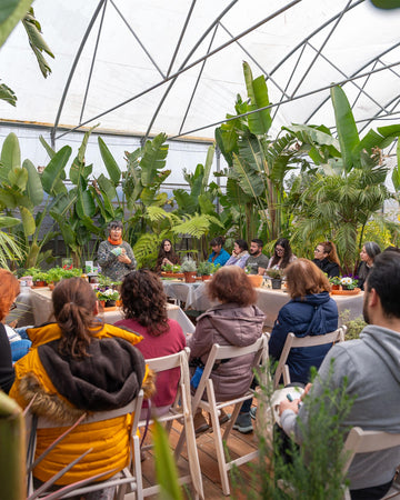 web_fernanda_botelho_workshop_criaverde_plantas