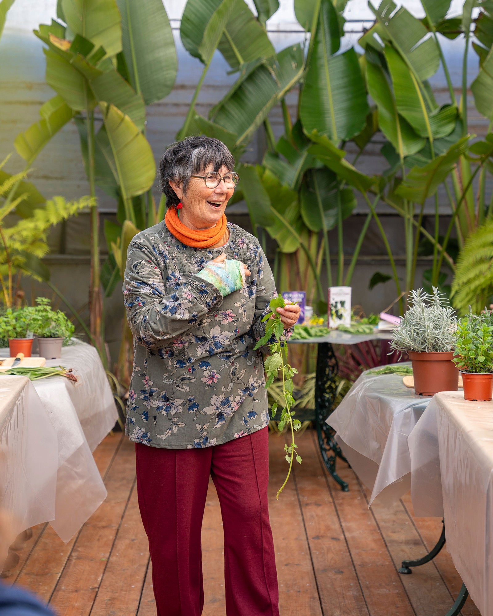 web_fernanda_botelho_workshop_criaverde_plantas