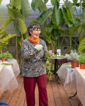 web_fernanda_botelho_workshop_criaverde_plantas