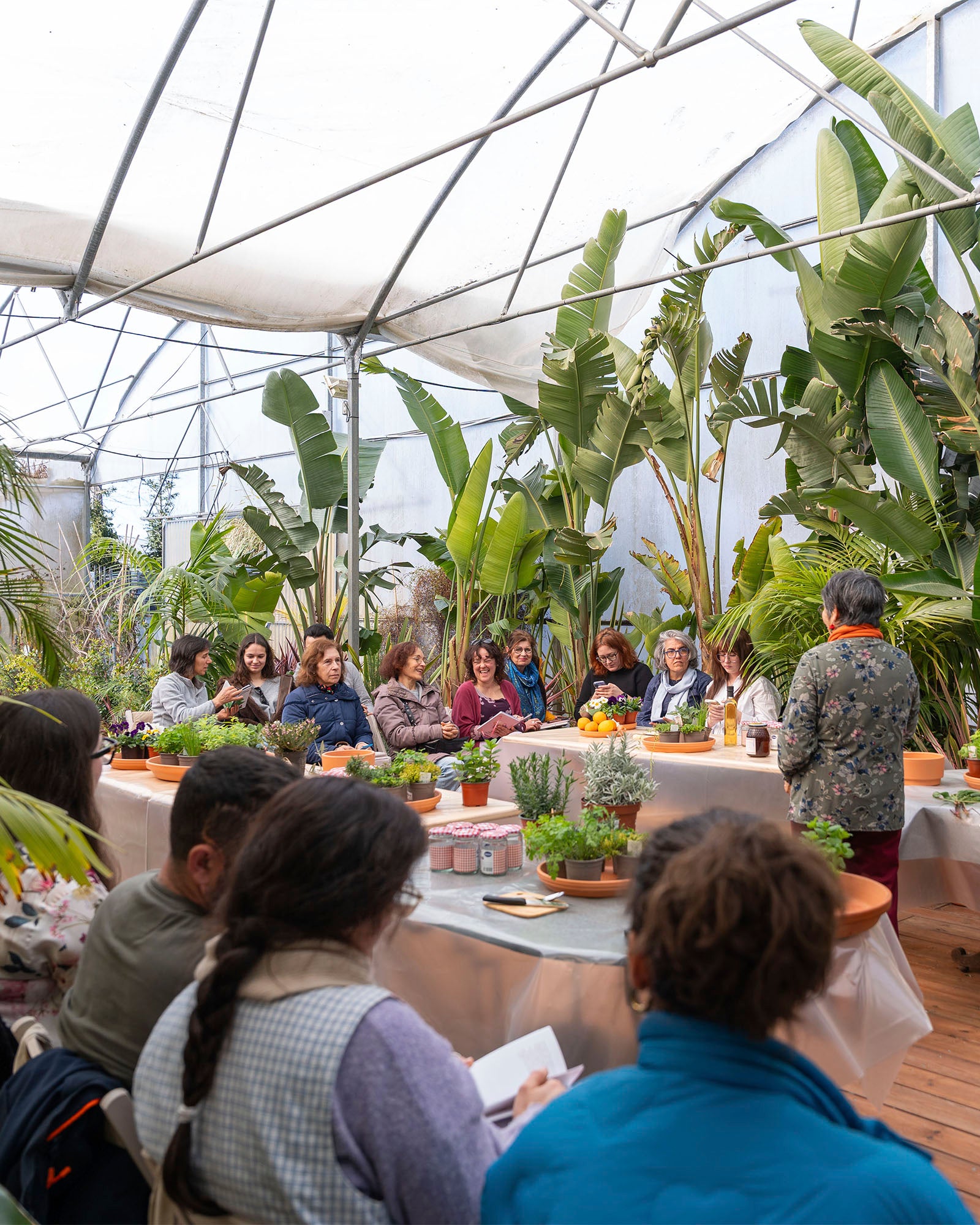 web_fernanda_botelho_workshop_criaverde_plantas