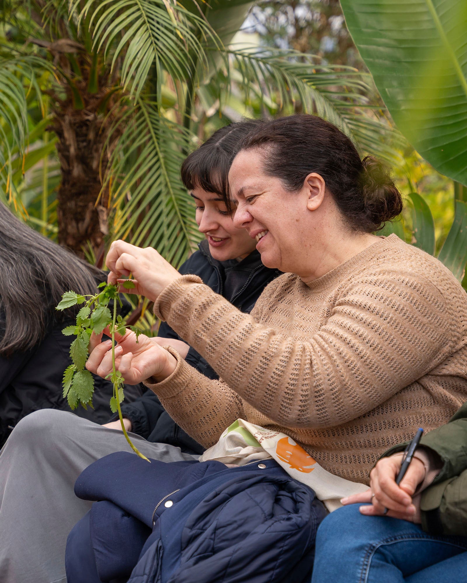 web_fernanda_botelho_workshop_criaverde_plantas