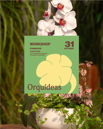 Worquideas_workshop_31outubro_criaverde_plantas_01