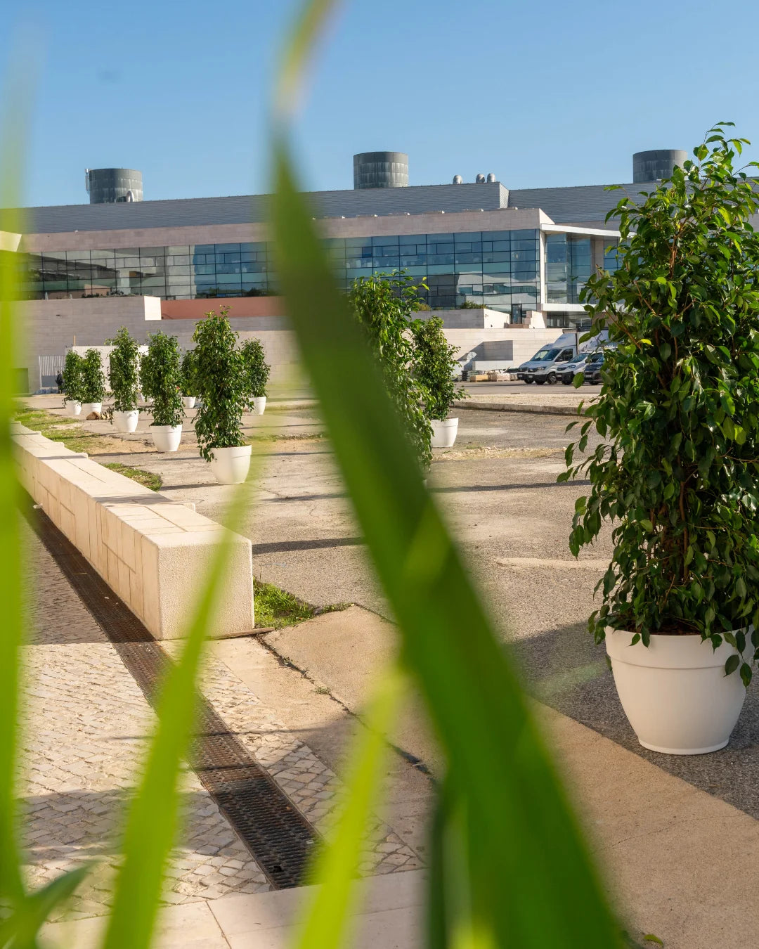 Botton-Champalimaud Pancreatic Cancer Centre