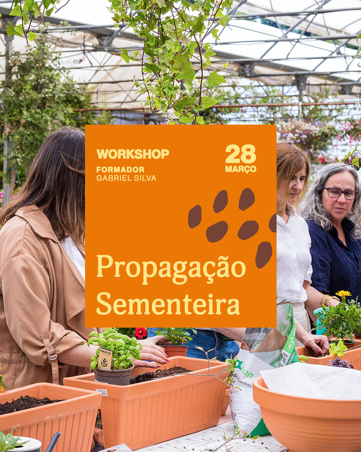 propagacao_sementeiras_criaverde_workshop