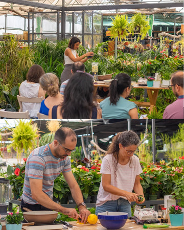workshop_cozinhar_plantas_joana_alves_criaverde