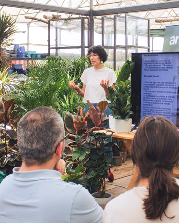 workshop_design_interiores_ana_Seia_artevasi