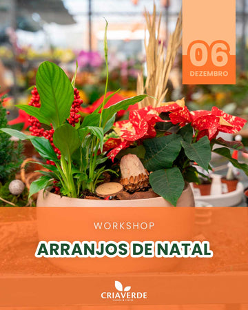 Workshop Arranjos de Natal