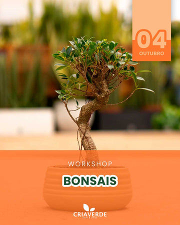 Workshop Bonsais