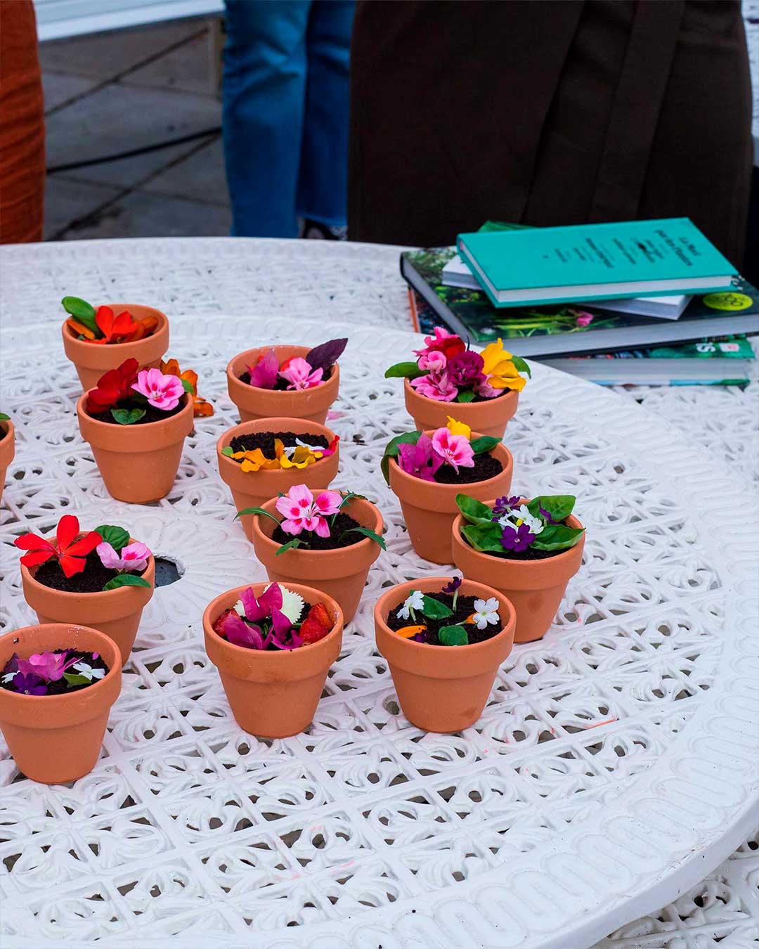 workshop-cozinhar-plantas-criaverde-comestiveis-2