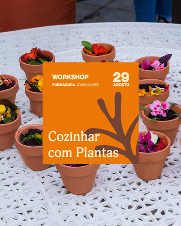 workshop-cozinhar-plantas-criaverde-joana-alves-plantas-viseu