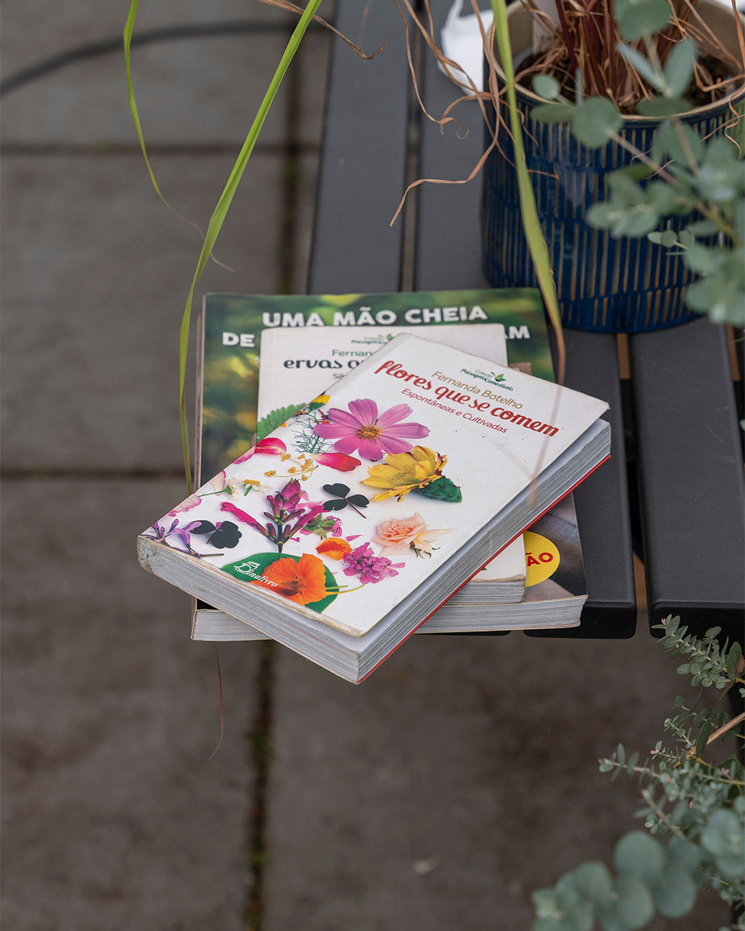 workshop-fernanda-botelho-criaverde-ervas-aromaticas-flores-livros