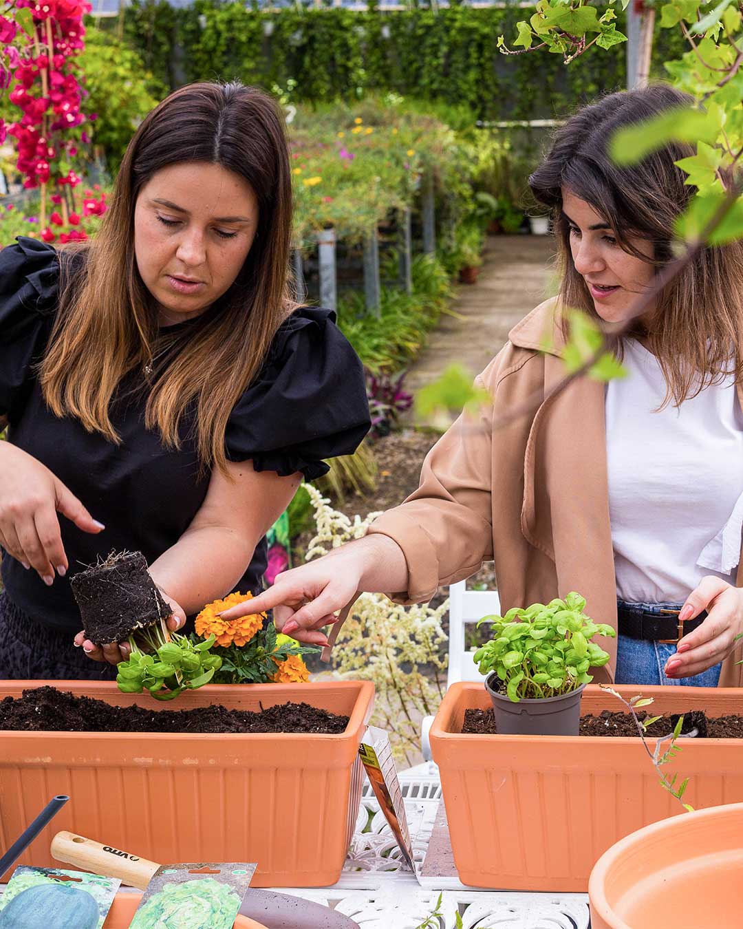 workshop-mini-horas-criaverde-plantas