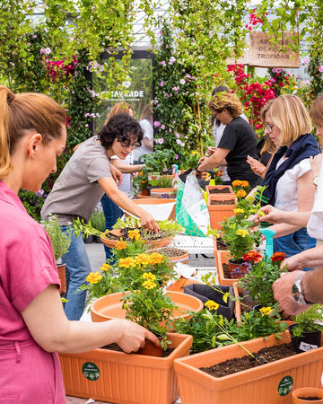 workshop-mini-horas-criaverde-plantas