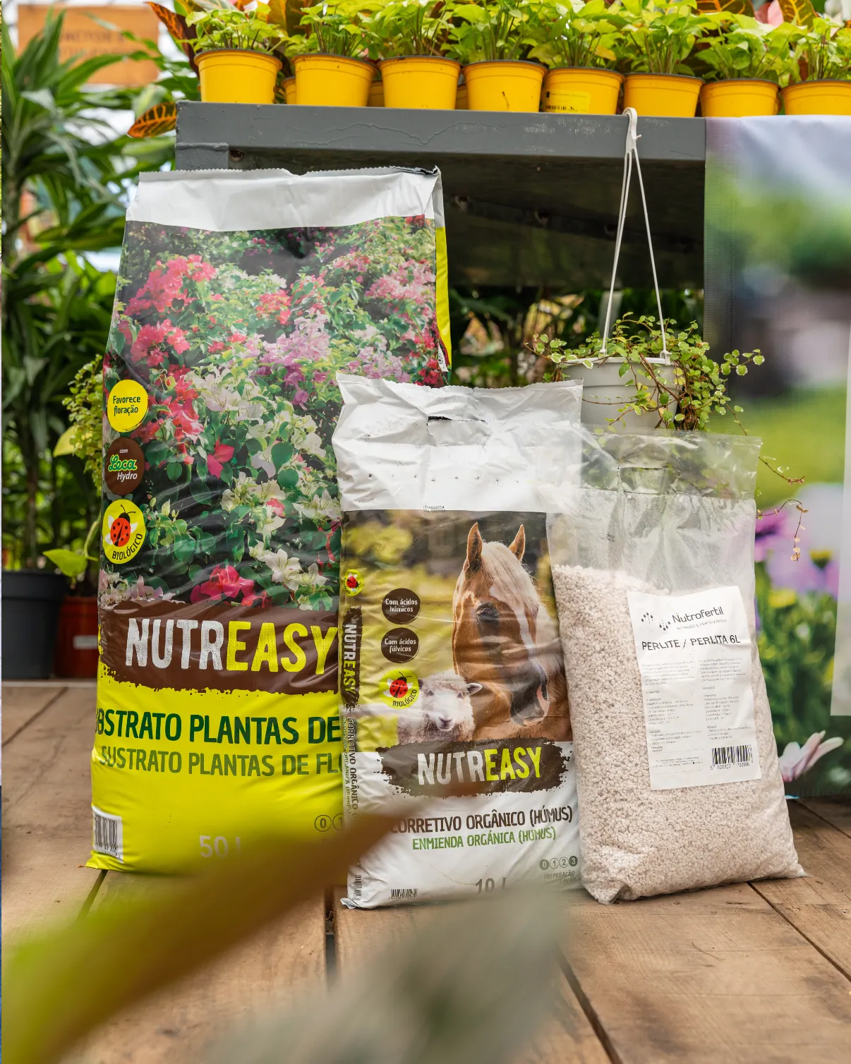 workshop-mini-hortas-plantar-criaverde-nutreasy