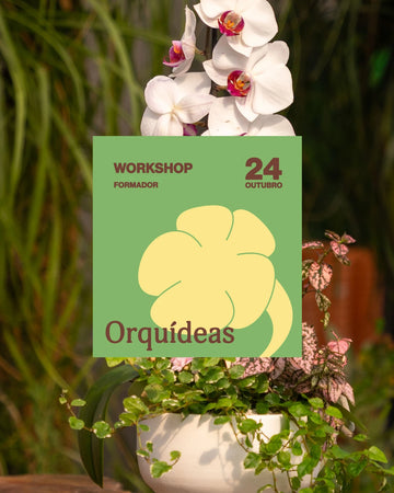 workshop-orquideas-plantas-criaverde-viseu