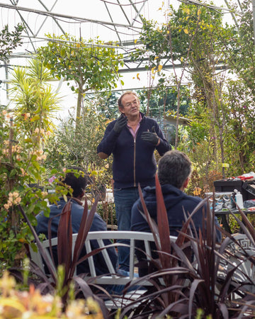 workshop-podas-inverno-criaverde-plantas-02