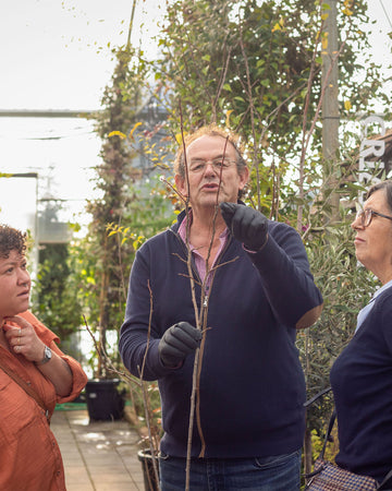 workshop-podas-inverno-criaverde-plantas-02