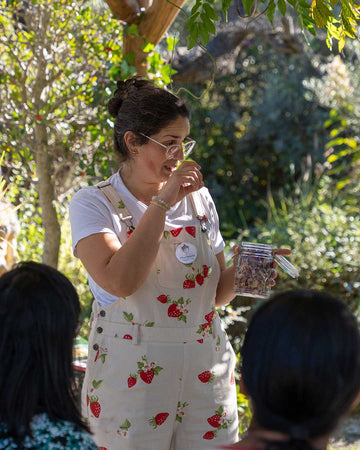 workshop-repelentes-caseiros-plantas-criaverde-pamela-1