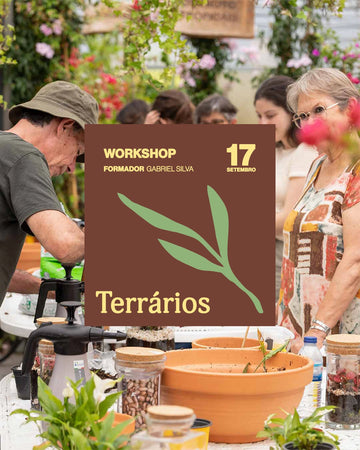 workshop-terrarios-plantas-criaverde-gabriel